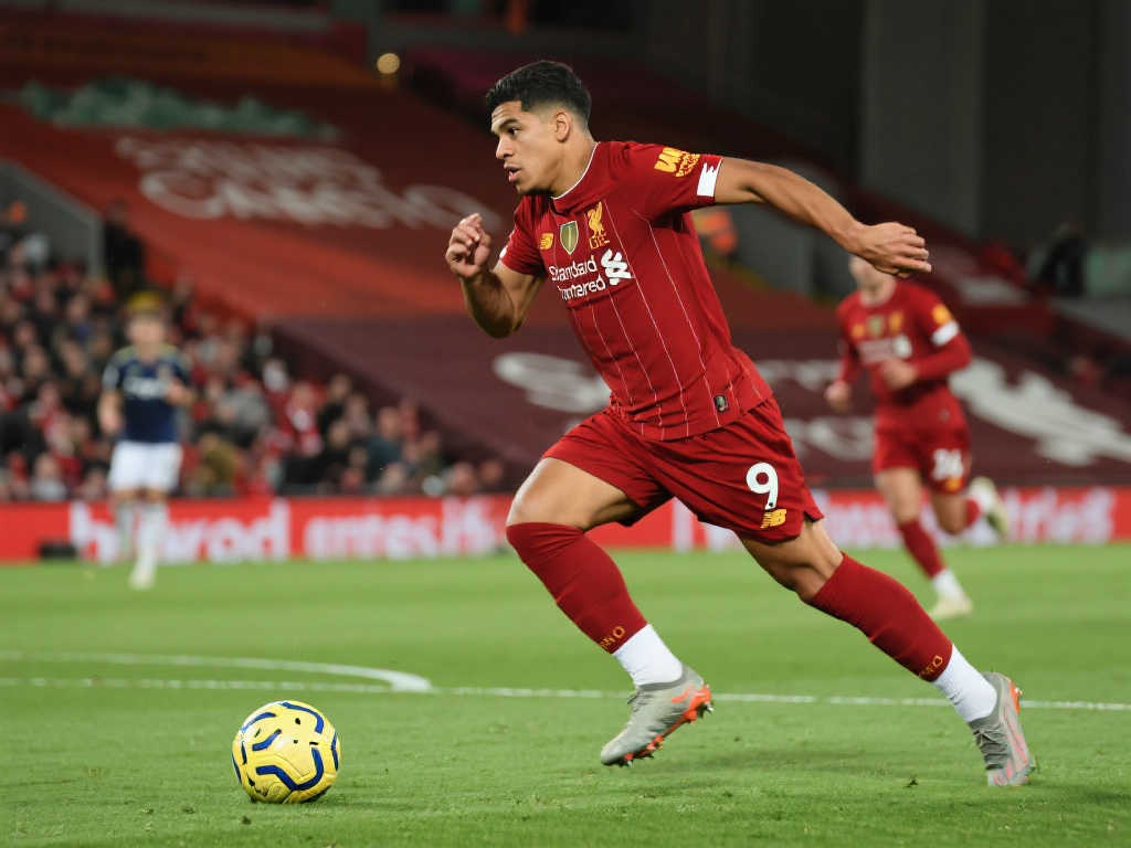 全身心投入 全身心投入